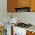 Vigia * فيريغودو